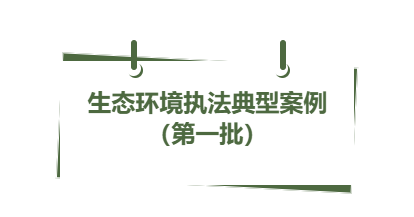 典型案例丨2024年省内生态环境执法典型案例（第一批）（一）