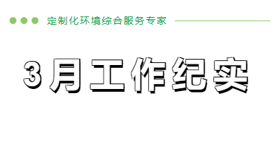 3月份工作纪实