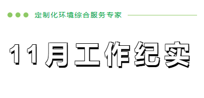 11月工作纪实