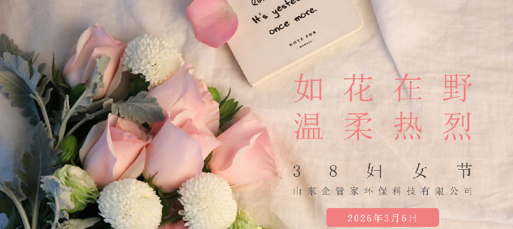 如花在野，温柔热烈|妇女节座谈会