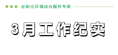 3月份工作纪实
