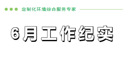 6月工作纪实